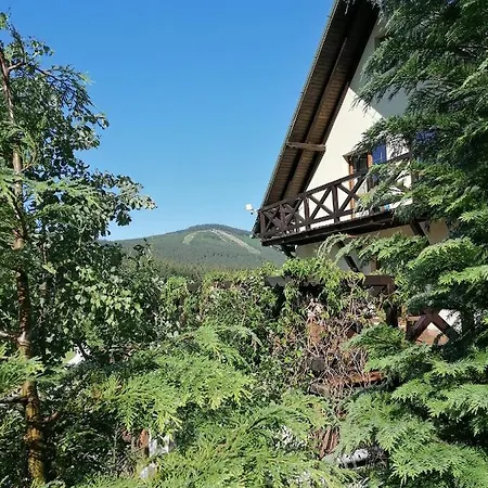 Gosciniec Janowa Gora - *