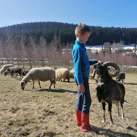 Gosciniec Janowa Gora Stronie Slaskie