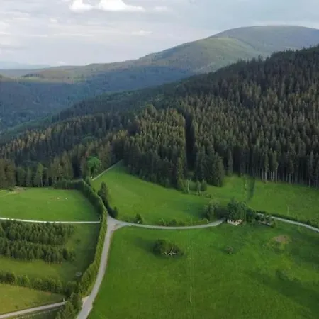 Gosciniec Janowa Gora Летний дом *