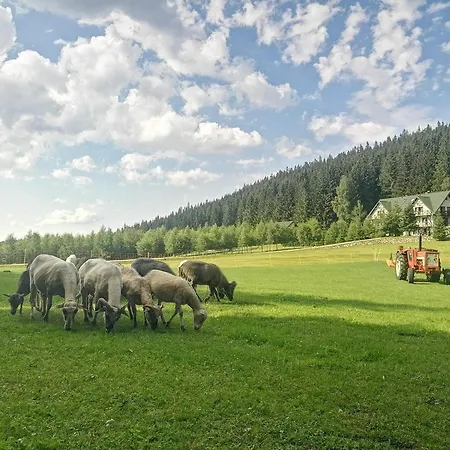 Gosciniec Janowa Gora