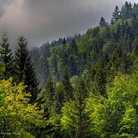 Gosciniec Janowa Gora - Landsted
