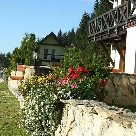 Gosciniec Janowa Gora - * Stronie Śląskie