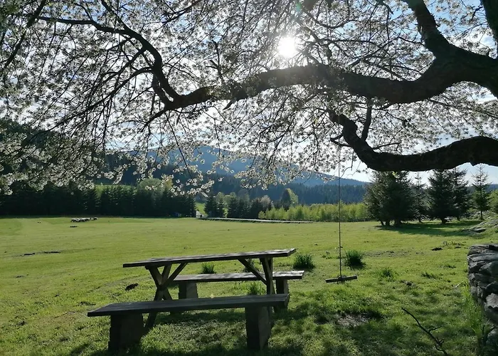 Gosciniec Janowa Gora Country house Stronie Slaskie