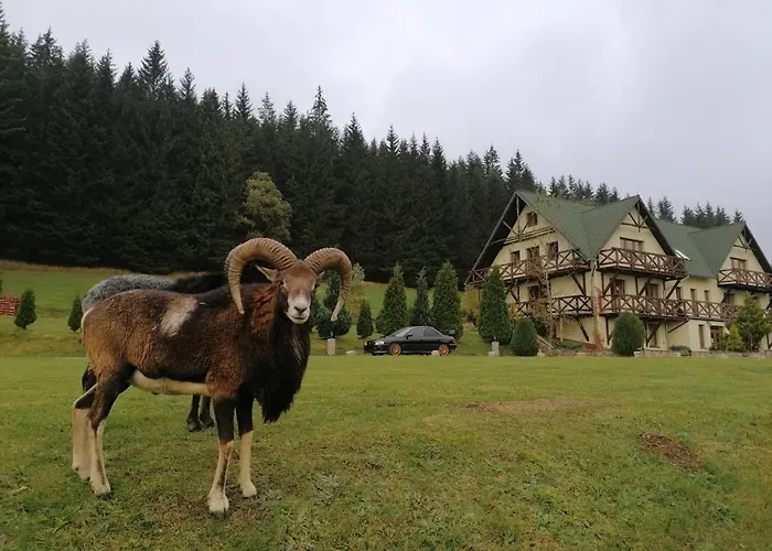 Gosciniec Janowa Gora * Stronie Slaskie