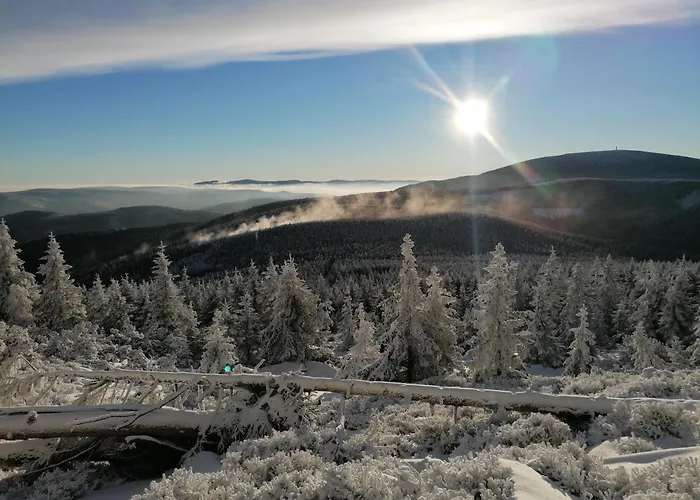 Gosciniec Janowa Gora Stronie Slaskie