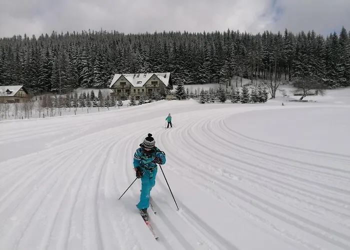 Gosciniec Janowa Gora Stronie Slaskie