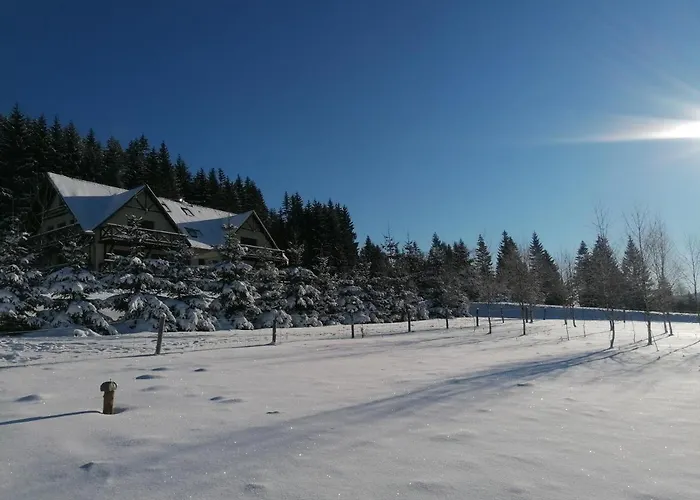 Gosciniec Janowa Gora