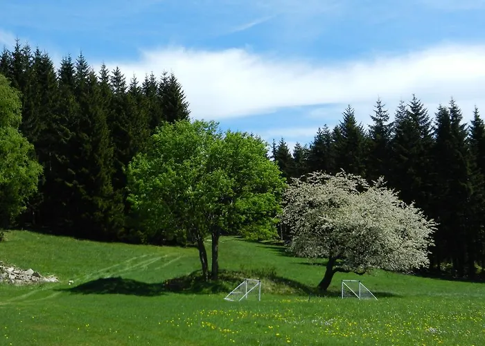 Gosciniec Janowa Gora