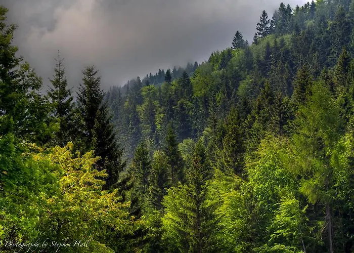 Gosciniec Janowa Gora Country house