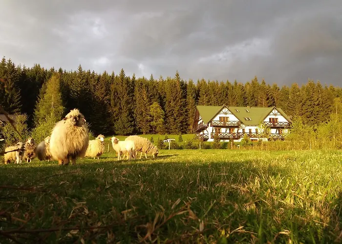 Gosciniec Janowa Gora Stronie Slaskie