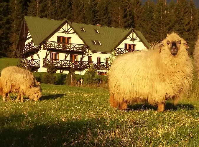 Gosciniec Janowa Gora *